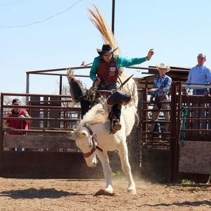 Meet your Posher, Trey